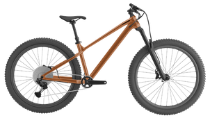 GT Zaskar LT Expert