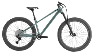 GT Zaskar LT Expert