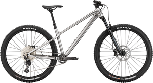 GT Zaskar LT Expert
